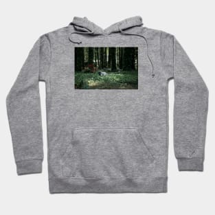 if a pug poops in the woods Hoodie